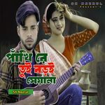 Pakhi Re Tui Boro Siyana