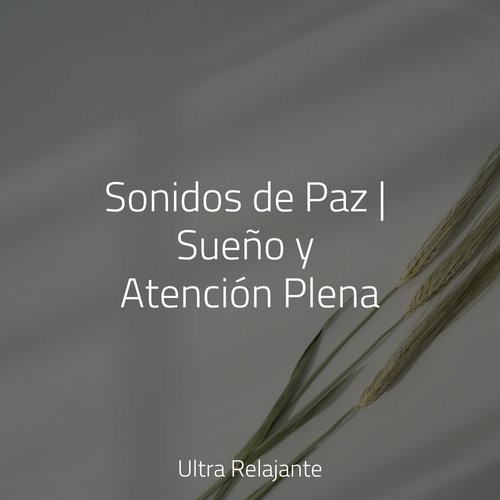 Sonidos de Paz | Sueño y Atención Plena