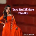 Tere Bin Dil Mera Dhadke