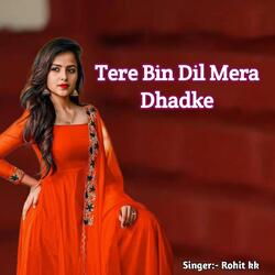 Tere Bin Dil Mera Dhadke-MzBZAzJYAXA