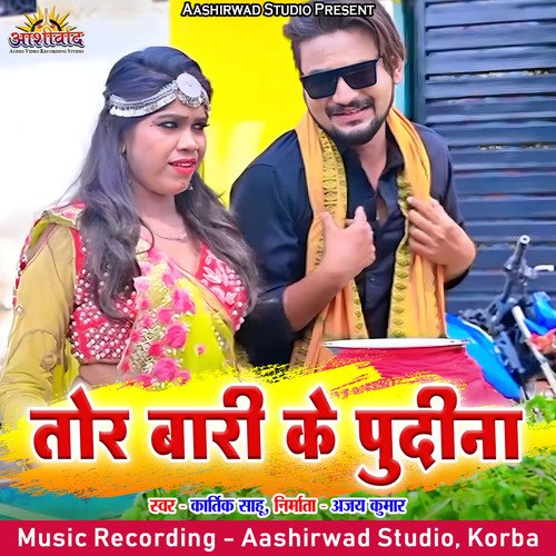 Tor Bari Ke Pudina