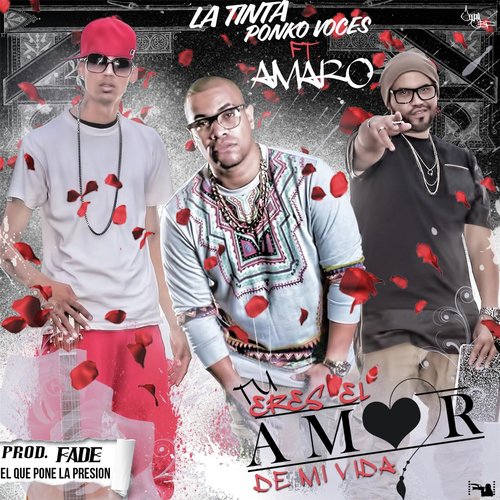 Tu Eres el Amor de Mi Vida (feat. Amaro)