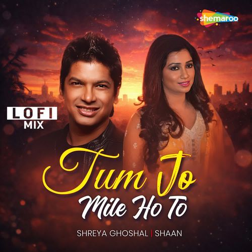 Tum Jo Mile Ho To LOFI MIX