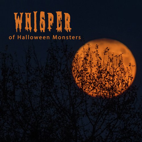 Halloween Owl cover art