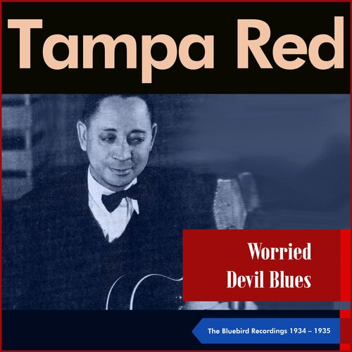 Worried Devil Blues (The Bluebird Recordings 1934 - 1935)