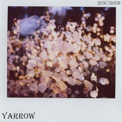 Yarrow