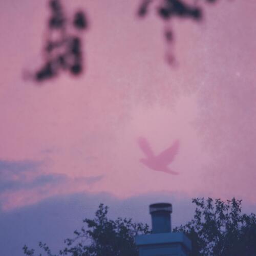 lachrymose cover art