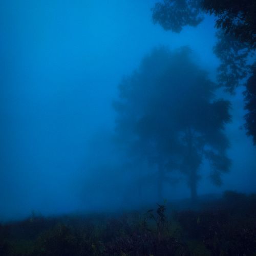 just a memory (super slowed)