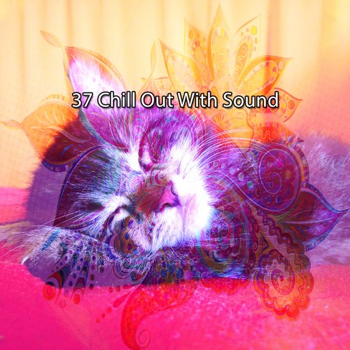 37 Chill Out With Sound_poster_image