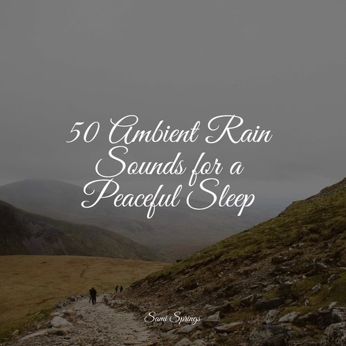 50 Ambient Rain Sounds for a Peaceful Sleep_poster_image