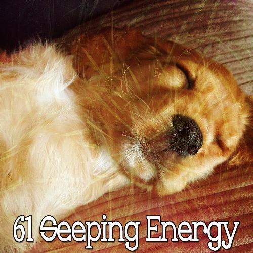 61 Seeping Energy