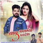 Babu Chalgyo Pardesh