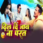 Dil Di Jayana Parat