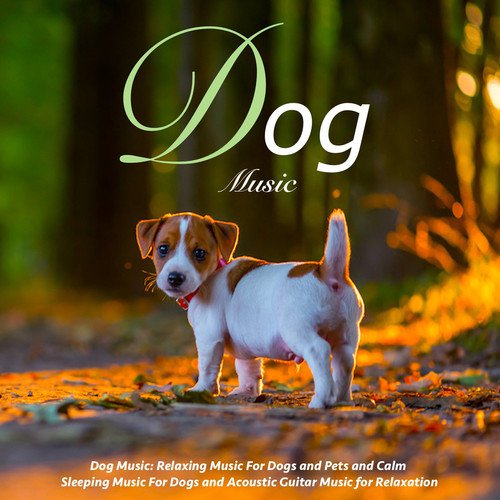Ultimate Dog Relaxation cover art