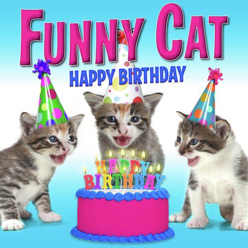 Happy Birthday (Funny Cats Singing Version) Songs Download - Free Online  Songs @ JioSaavn