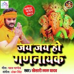 Jai Jai Ho Gadnayak