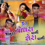 Janudi Godhara Vali Shera Vali (DJ Remix) Pt.1