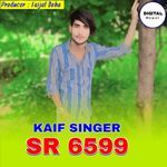 Kaif Singer SR 6599