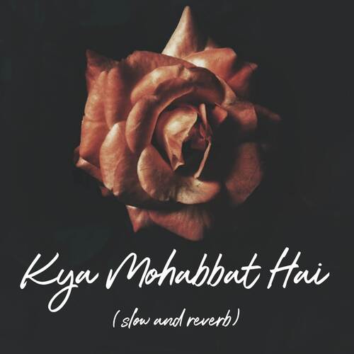 Kya Mohabbat Hai ( slow and reverb )