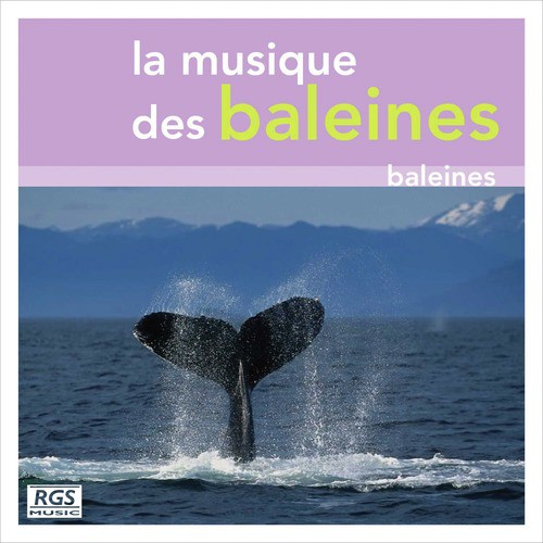 La Musique Des Baleines