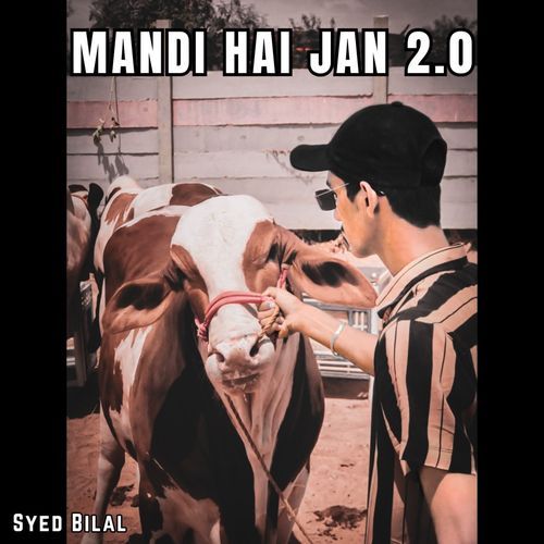 Mandi Hai Jan 2.0