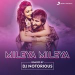 Mileya Mileya (Remixed By DJ Notorious)