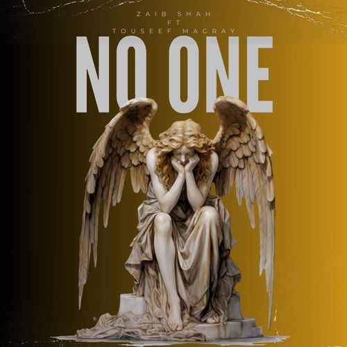 NO ONE (feat. Touseef Magray)