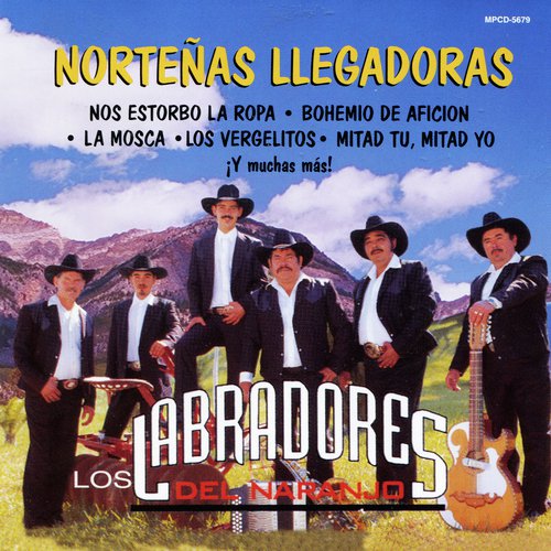 Los Vergelitos cover art