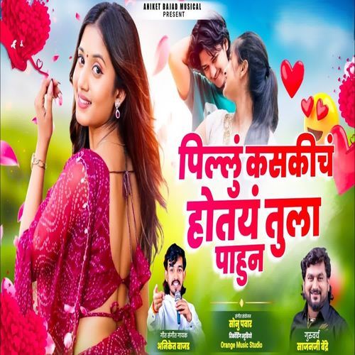Pillu Kasaki Ch Hotay Tula Pahun