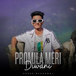 Promila Meri Diwani-BFtfd0VqZ0k