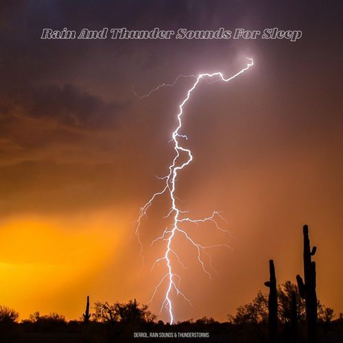 ASMR Rain Sounds cover art