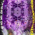 ORGANIZED CHAOS CyeMix