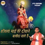 Shitla Mai Tere Deewane Basoda Bale Hain