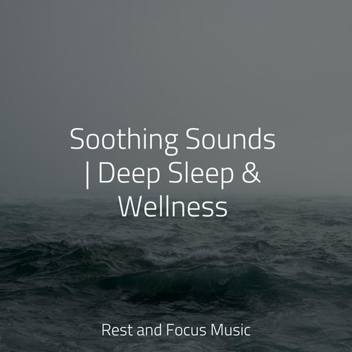 Soothing Sounds | Deep Sleep & Wellness