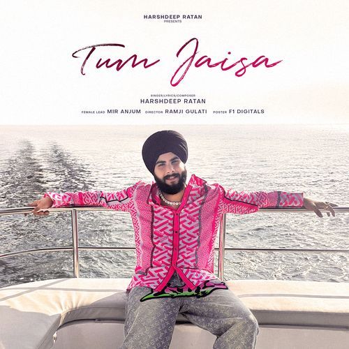 Tum Jaisa