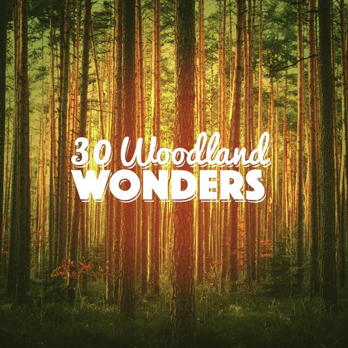 30 Woodland Wonders