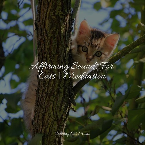 Lazy Morning cover art