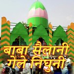 Baba Shailani Gele Nighuni