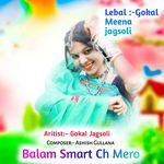 Balam Smart Ch Mero