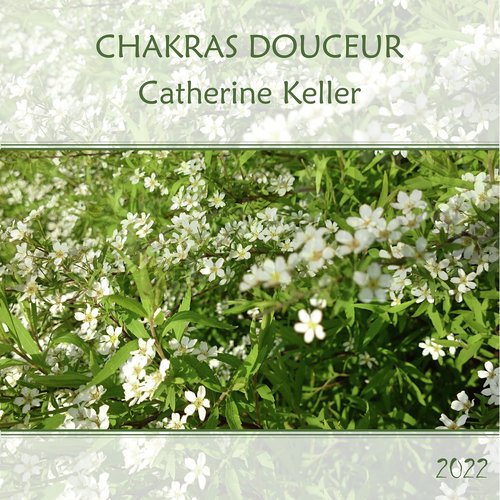 Chakra Sacré cover art