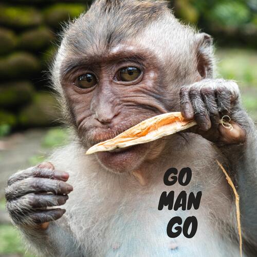 Go Man Go_poster_image