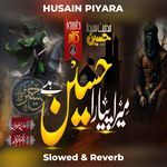 HUSAIN PIYARA (Slowed &amp; Reverb)