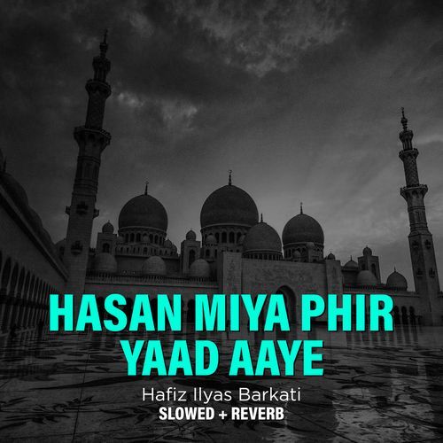 Hasan Miya Phir Yaad Aaye (Lofi-Mix)