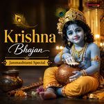 Jai Radhe Jai Krishna Jai Ho Vrindavan
