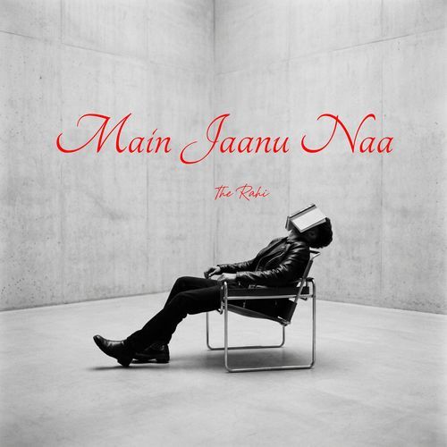 Main Jaanu Naa