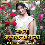 Maze Gulabache Fula DJ Sushant Soundane