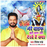 Mere Wife Ko Bam Ji Dekhe Hai Kya - Single