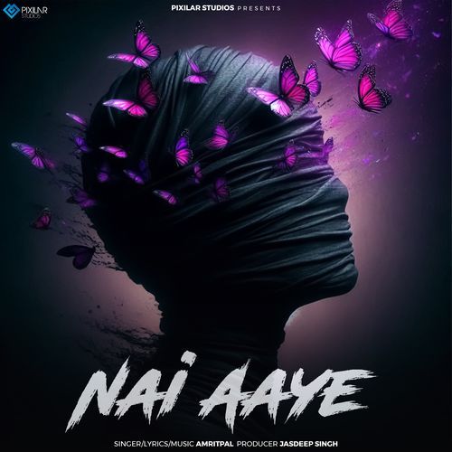 Nai Aaye