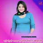 भाड़ी चोड़गी मटका सो होगो पिएट मेवाती