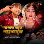 Pagla Jache Somsane